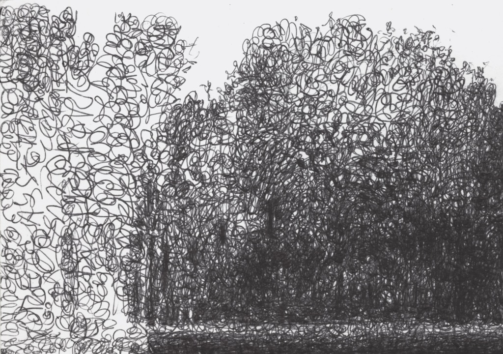 a row of trees and on the left the drawing which has remained incomplete where the hatches and the compositional structure are clearly visible.