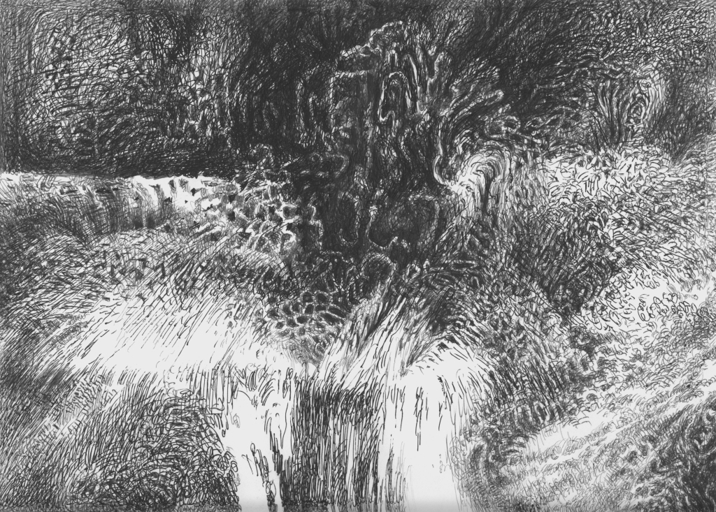 Landscape drawing made by Ballpoint Pen on Cardboard, 21 x 29,7 cm, in July 2022